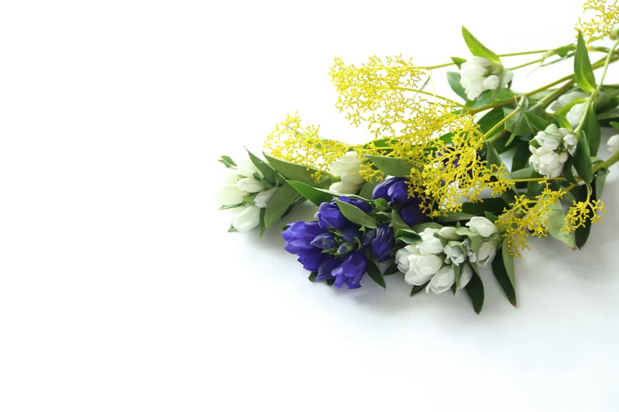 トップぺ時下部画像